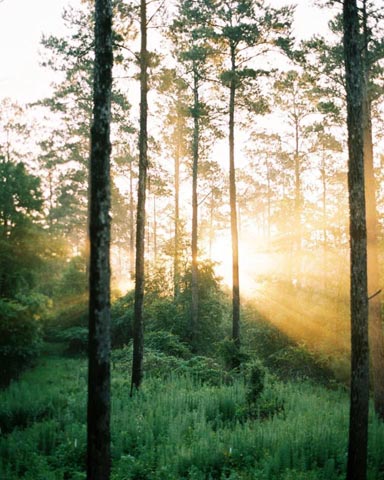 Lufkin, Texas